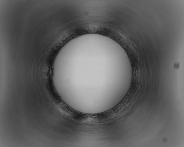 X0000101410750200807281025