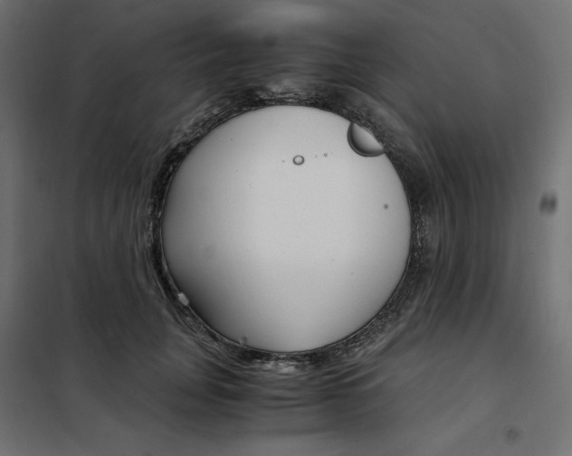 X0000101410751200807281025