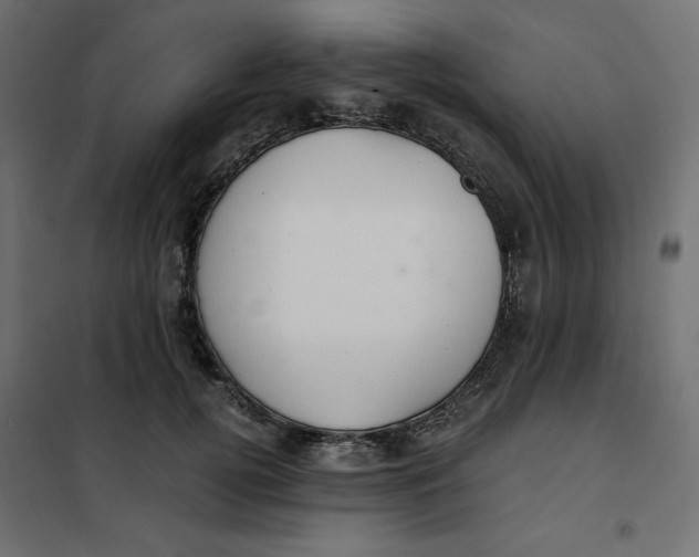 X0000101410752200807281025