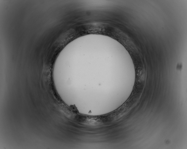 X0000101410753200807281025