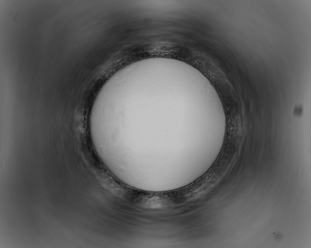 X0000101410755200807281025