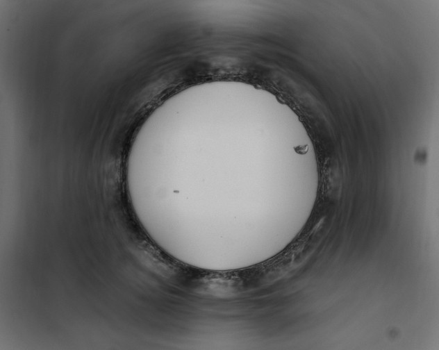 X0000101410756200807281025