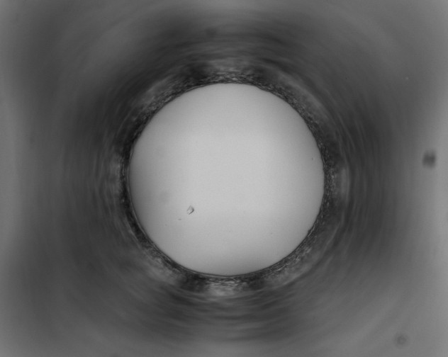X0000101410757200807281025