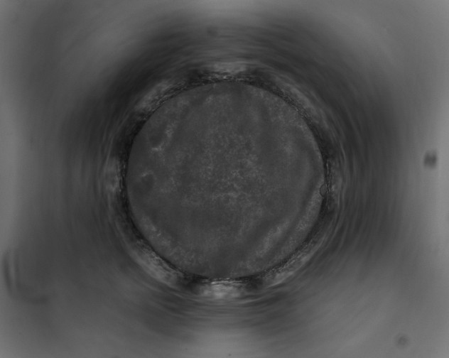 X0000101410758200807281025