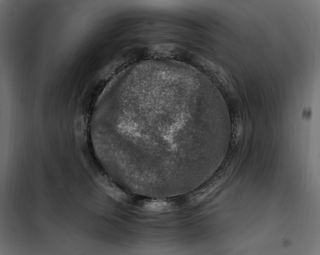 X0000101410759200807281025