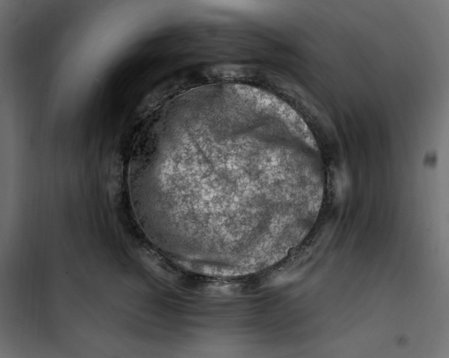X0000101410760200807281025