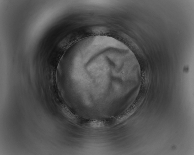 X0000101410762200807281025