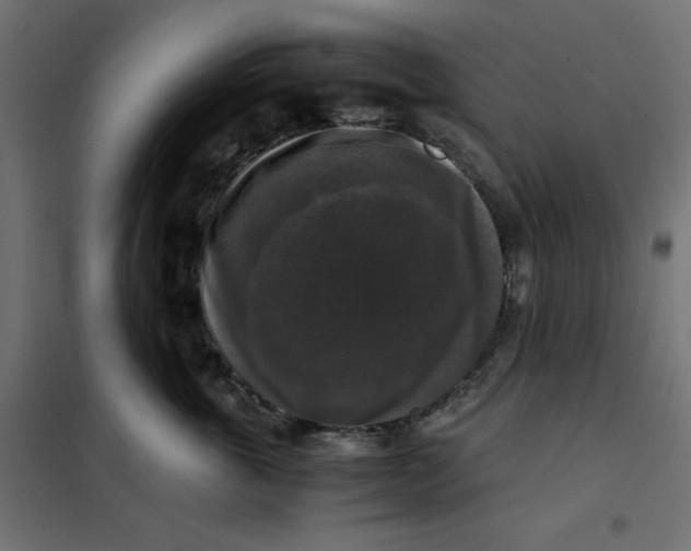 X0000101410763200807281025