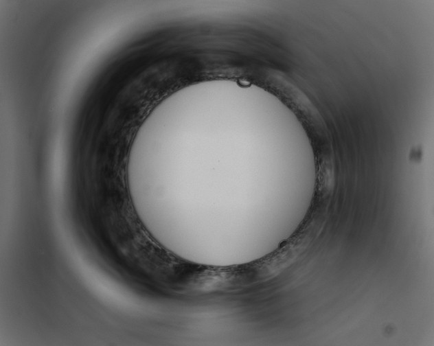 X0000101410764200807281025