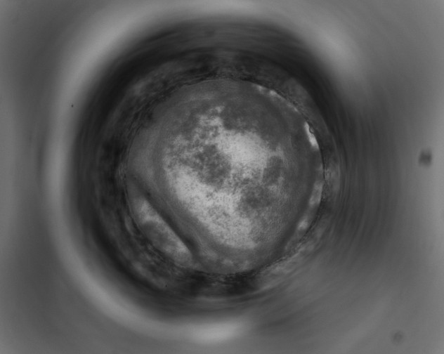 X0000101410765200807281025