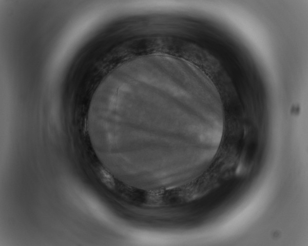 X0000101410766200807281025