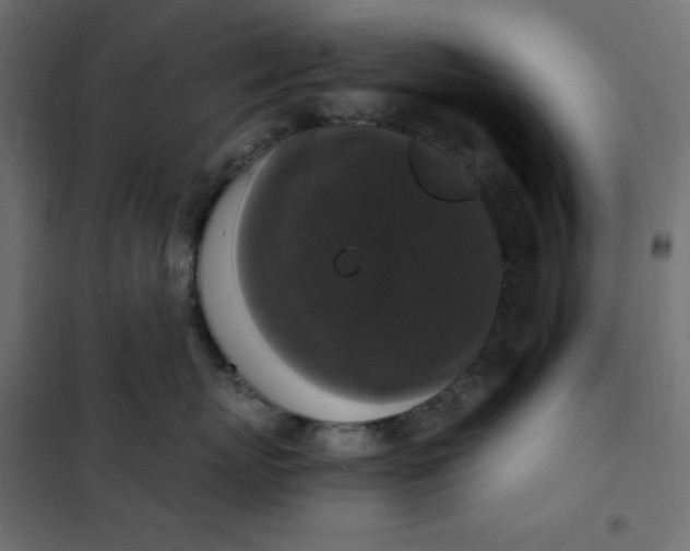 X0000101410767200807281025