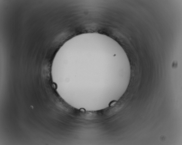 X0000101410768200807281025