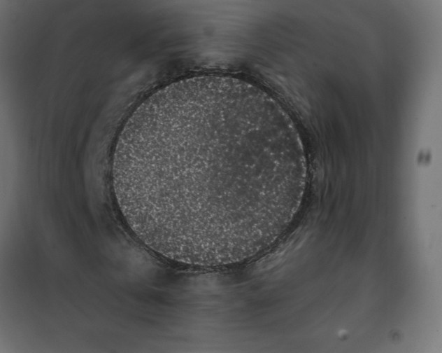 X0000101410769200807281025
