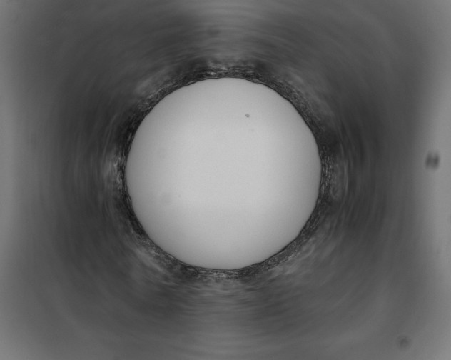 X0000101410770200807281025