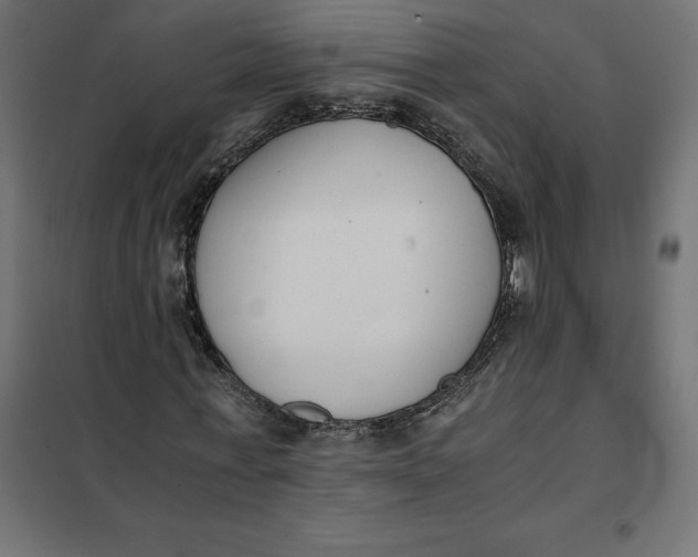 X0000101410771200807281025