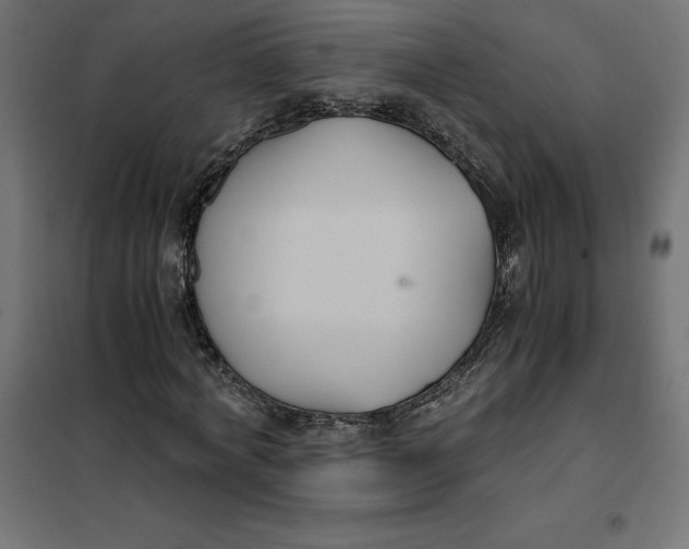 X0000101410772200807281025