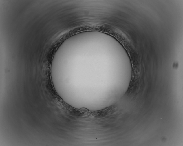 X0000101410773200807281025