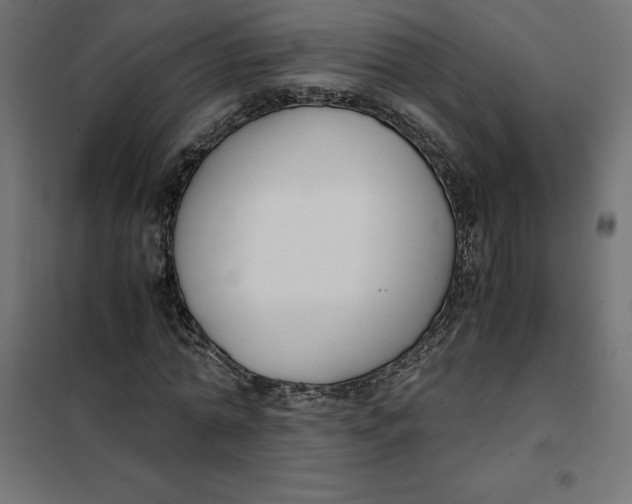 X0000101410774200807281025