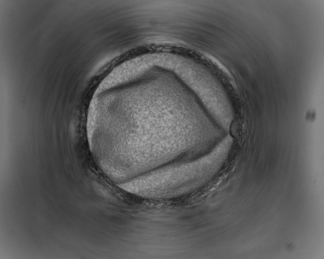 X0000101410775200807281025