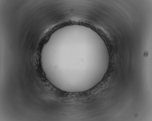 X0000101410776200807281025
