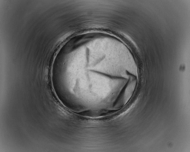 X0000101410777200807281025