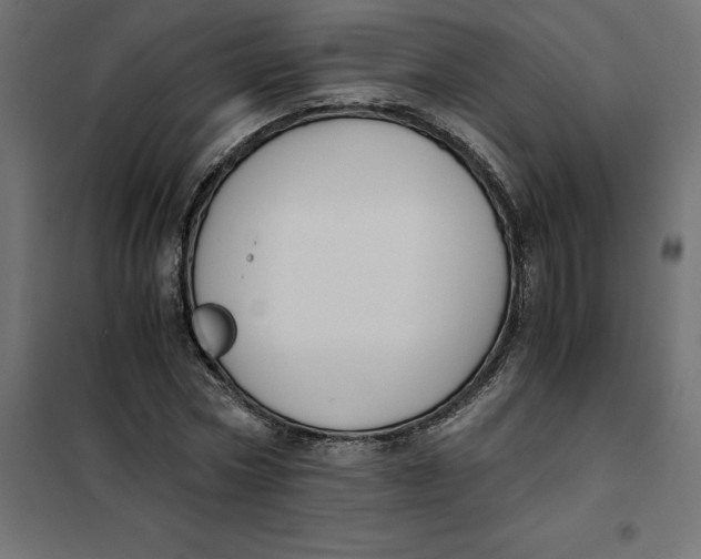 X0000101410778200807281024