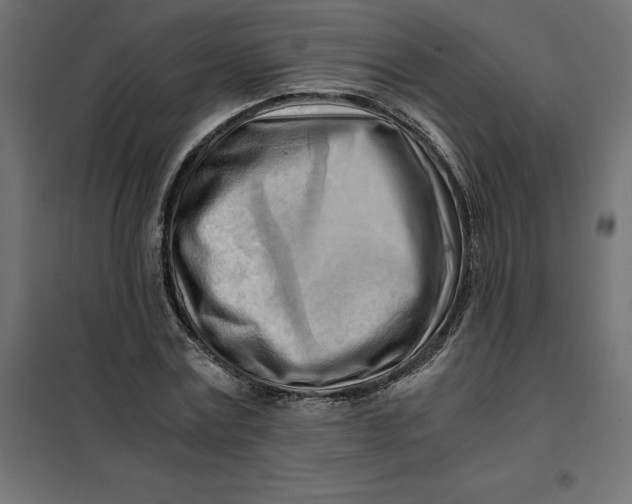 X0000101410779200807281024