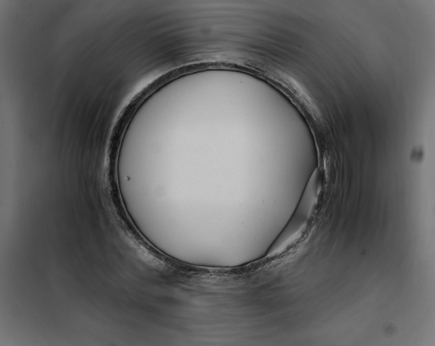X0000101410780200807281024