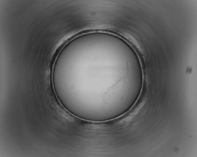 X0000101410781200807281024