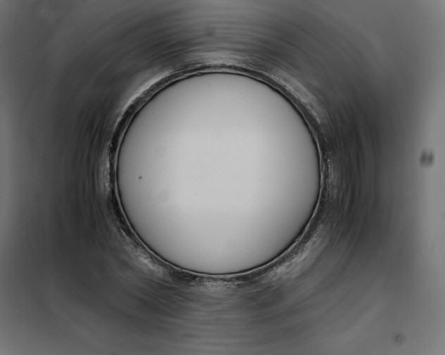 X0000101410782200807281024