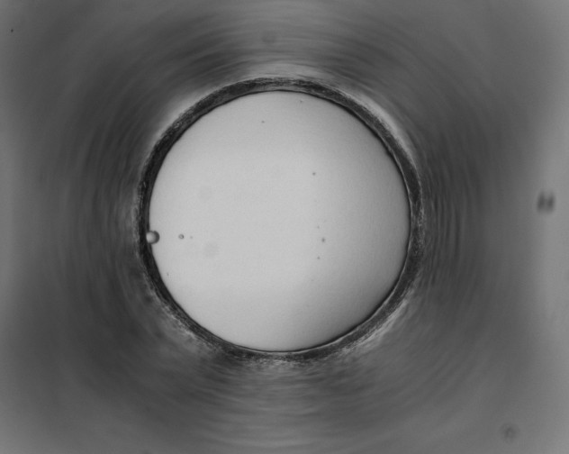 X0000101410783200807281024