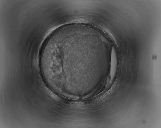 X0000101410784200807281024
