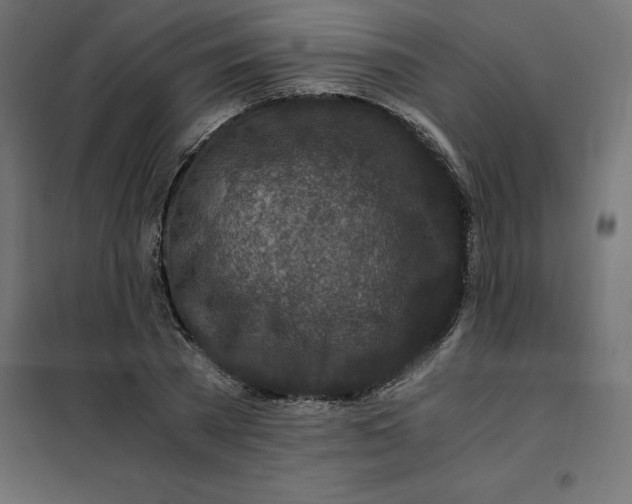 X0000101410785200807281024