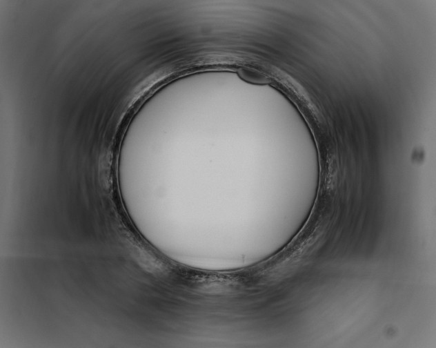 X0000101410786200807281024