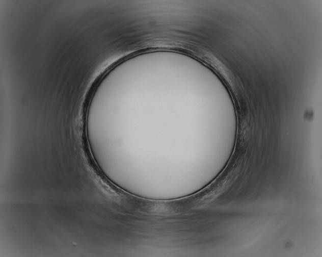 X0000101410787200807281024