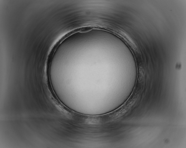 X0000101410788200807281024