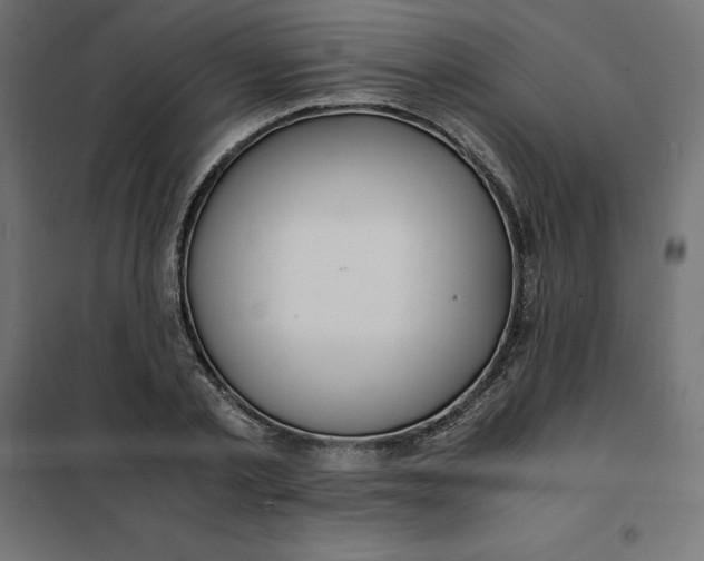 X0000101410789200807281024