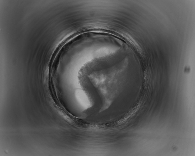 X0000101410790200807281024