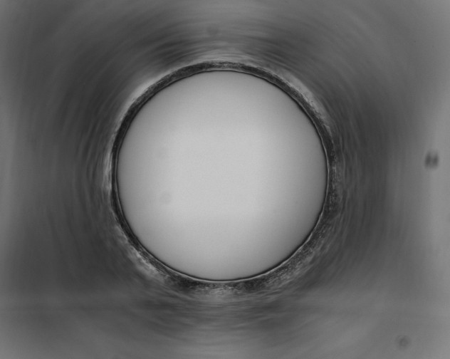 X0000101410791200807281024