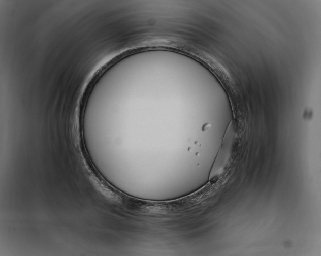 X0000101410792200807281024
