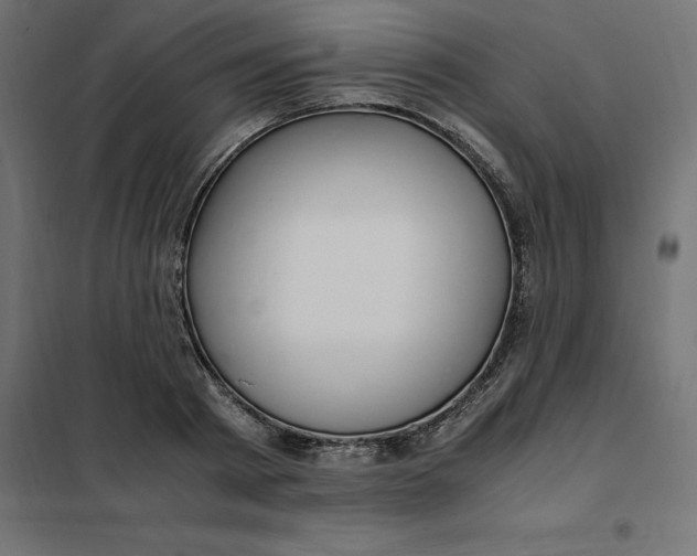 X0000101410793200807281024