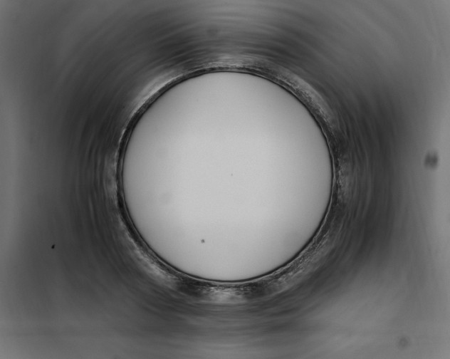 X0000101410794200807281024