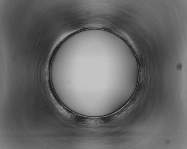 X0000101410795200807281024