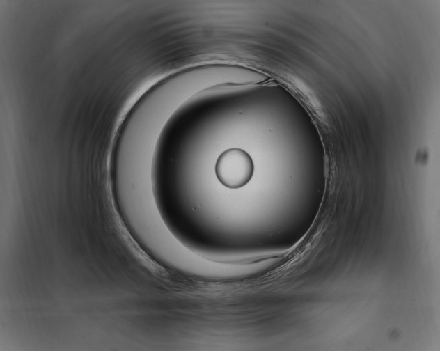 X0000101410796200807281024