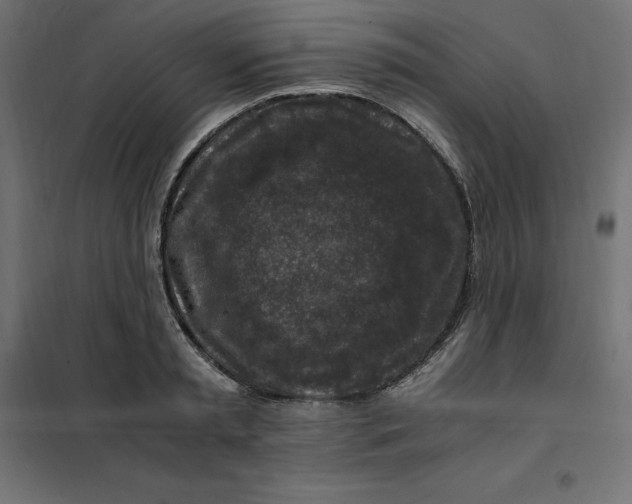 X0000101410797200807281024