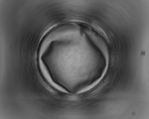 X0000101410798200807281024