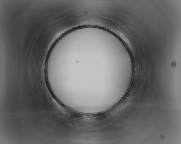 X0000101410799200807281024