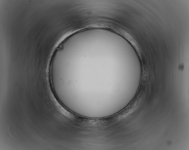 X0000101410803200807281024