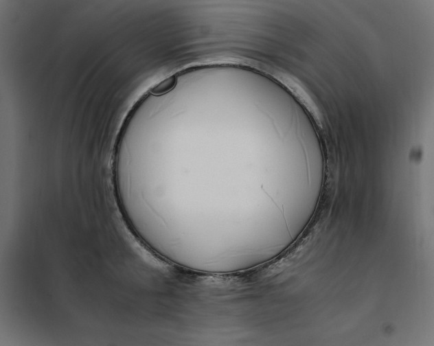 X0000101410805200807281024